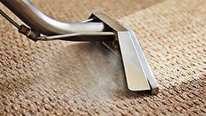 Milwaukee Area Carpet Cleaning offers professional carpet cleaning services. Professional carpet cleaning services by Milwaukee Area Carpet Cleaning.