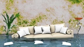 Emergency Services Emergency water damage and flood services
