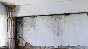 Water Damaged Basement Water damaged basement
